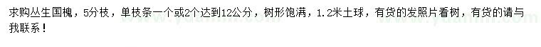 求購叢生國槐