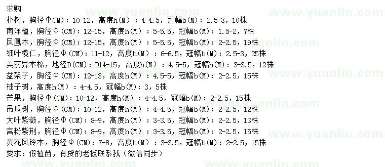 求購樸樹、南洋楹、鳳凰木等