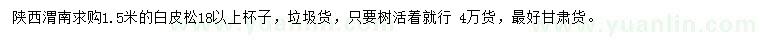 求購1.5米白皮松