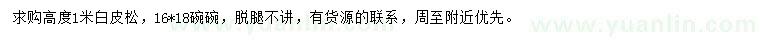 求購高1米白皮松