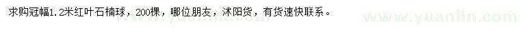 求購冠幅1.2米紅葉石楠球