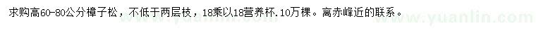 求購高60-80公分樟子松