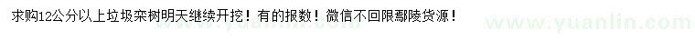求購12公分以上垃圾欒樹