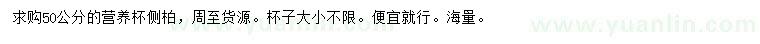 求購50公分側(cè)柏