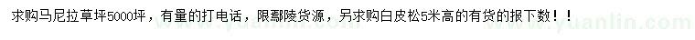 求購(gòu)馬尼拉草坪、高5米白皮松