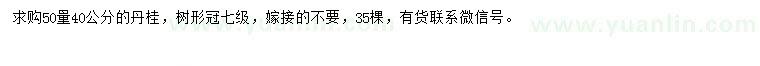 求購(gòu)50量40公分丹桂