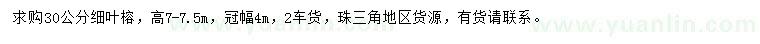 求購30公分細(xì)葉榕