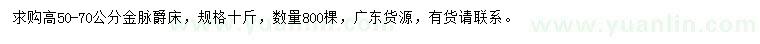 求購(gòu)高50-70公分金脈爵床