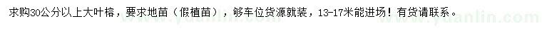求購30公分以上大葉榕