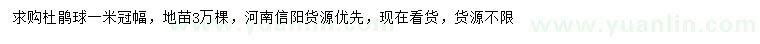 求購冠幅1米杜鵑