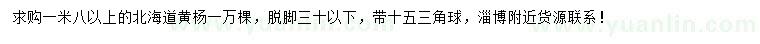 求購1.8米以上北海道黃楊