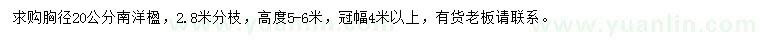 求購胸徑20公分南洋楹