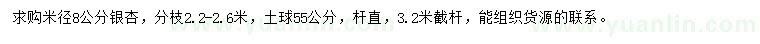 求購米徑8公分銀杏