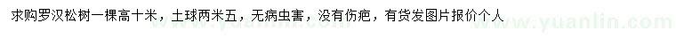 求購(gòu)高10米羅漢松