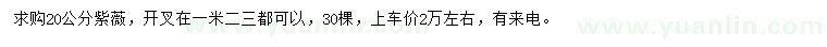 求購20公分紫薇