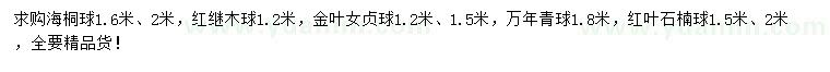 求購(gòu)海桐球、紅繼木球、金葉女貞球等