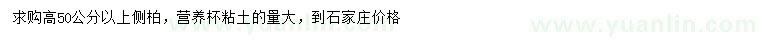 求購高50公分以上側(cè)柏
