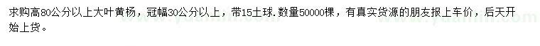 求購高80公分以上大葉黃楊