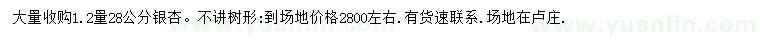 求購1.2量28公分銀杏