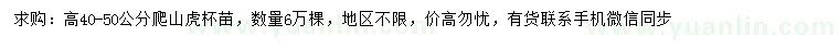 求購(gòu)高40-50公分爬山虎