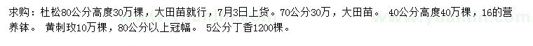 求購杜松小苗、黃刺玫小苗、丁香小苗