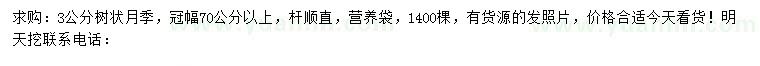求購3公分樹狀月季