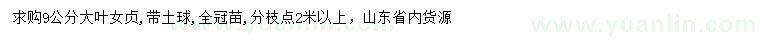 求購9公分大葉女貞