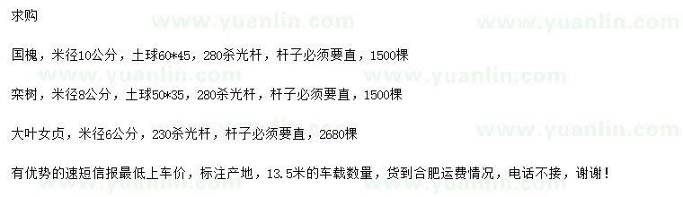 求購國槐、欒樹、大葉女貞
