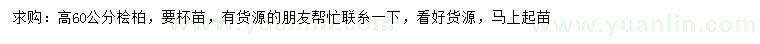 求購高60公分檜柏