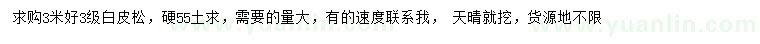 求購3米白皮松