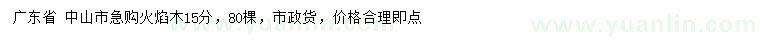 求購15公分火焰木