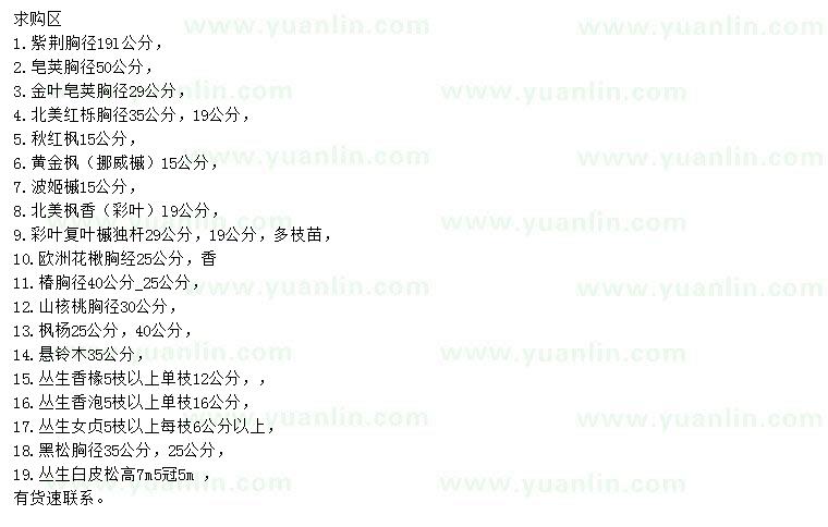 求購(gòu)紫荊、皂莢、北美紅櫟等