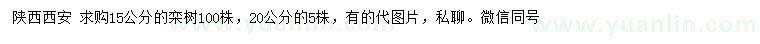 求購(gòu)15、20公分欒樹(shù)