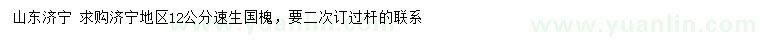 求購12公分國槐