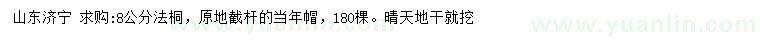 求購8公分法桐