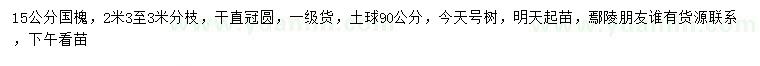 求購15公分國槐