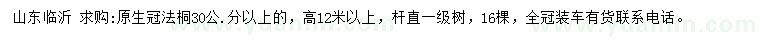 求購30公分以上法桐