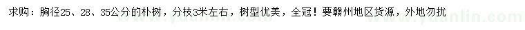 求購(gòu)胸徑25、28、35公分樸樹(shù)