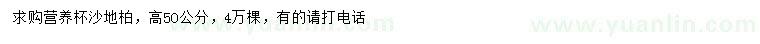 求購高50公分沙地柏