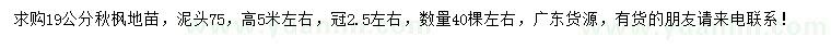 求購(gòu)19公分秋楓