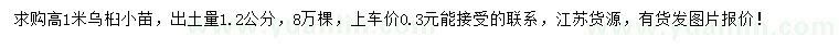 求購(gòu)高1米烏桕