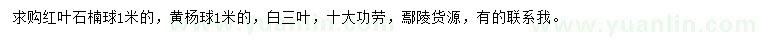 求購紅葉石楠球、黃楊球、白三葉等