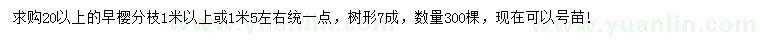 求購20公分以上早櫻