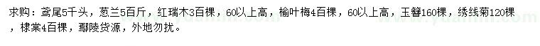 求購(gòu)鳶尾、蔥蘭、紅瑞木等