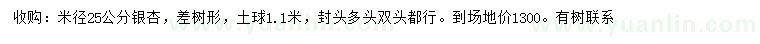 求購(gòu)米徑25公分銀杏