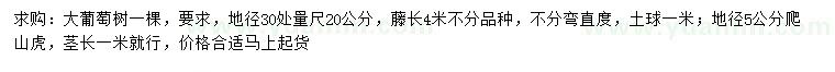 求購30量20公分葡萄樹、地徑5公分爬山虎