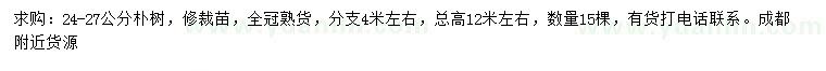 求購24-27公分樸樹