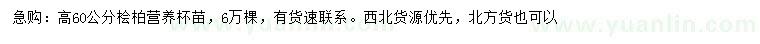 求購(gòu)高60公分檜柏