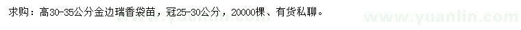 求購高30-35公分金邊瑞香