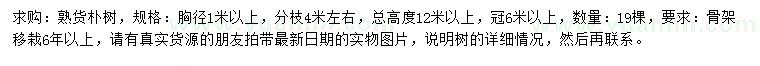 求購胸徑1米以上樸樹